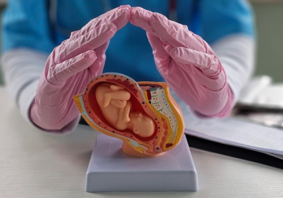 Fetal Medicine Helps in Detecting Birth Defects Early